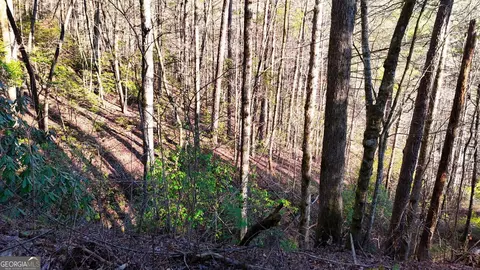 0 E Boggs Mountain Rd, Tiger, GA 30576 photo 24