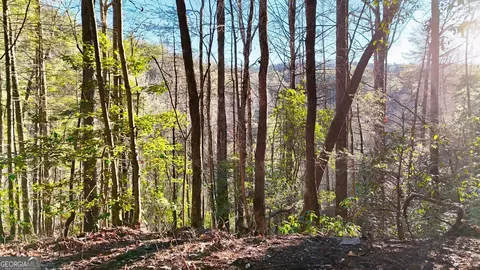 0 E Boggs Mountain Rd, Tiger, GA 30576 photo 8