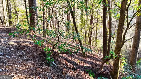 0 E Boggs Mountain Rd, Tiger, GA 30576 photo 23