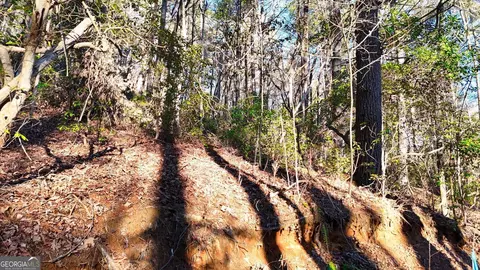 0 E Boggs Mountain Rd, Tiger, GA 30576 photo 20