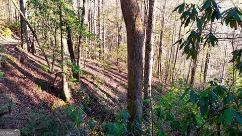 0 E Boggs Mountain Rd, Tiger, GA 30576 photo 19