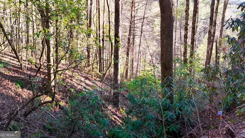 0 E Boggs Mountain Rd, Tiger, GA 30576 photo 21
