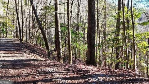 0 E Boggs Mountain Rd, Tiger, GA 30576 photo 11
