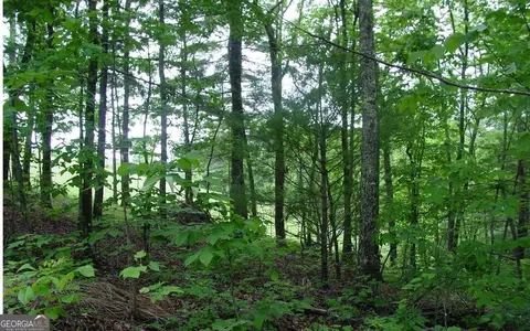 0 Victoria Woods, Hiawassee, GA 30546