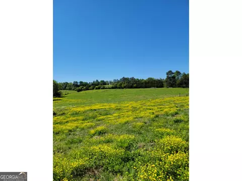 293 Brookhaven Cir, Toccoa, GA 30577 photo 8