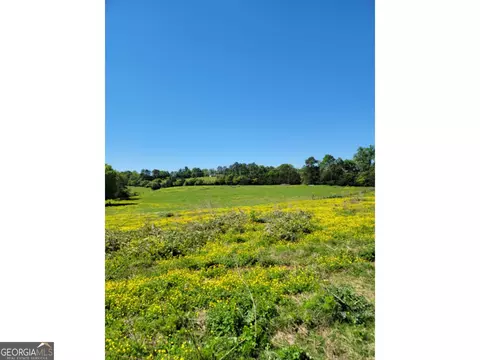 293 Brookhaven Cir, Toccoa, GA 30577 photo 4