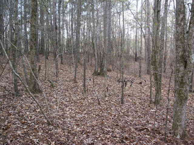 1307 The Blfs, Lagrange, GA 30240 photo 5