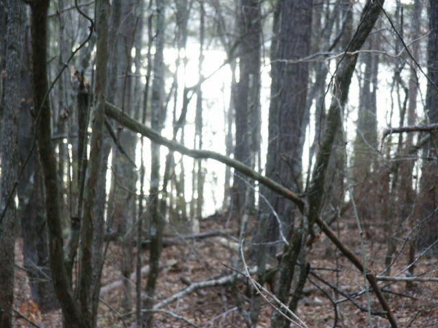 1307 The Blfs, Lagrange, GA 30240 photo 3