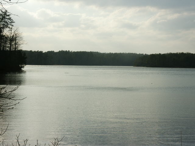 1307 The Blfs, Lagrange, GA 30240 photo 6