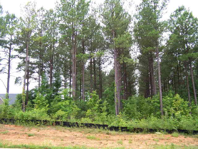 30 River View Dr, Covington, GA 30014 photo 2