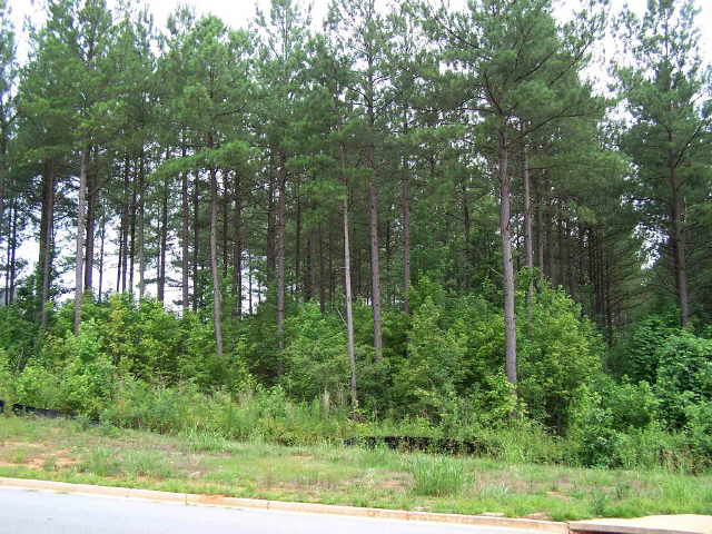 30 River View Dr, Covington, GA 30014 photo 1