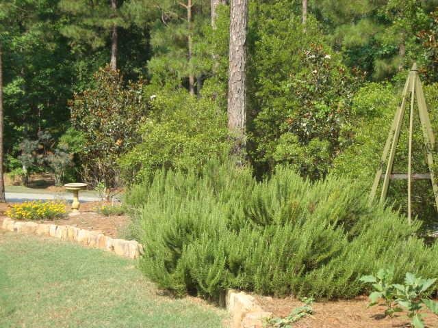 410 Highland Park, Lagrange, GA 30240 photo 11