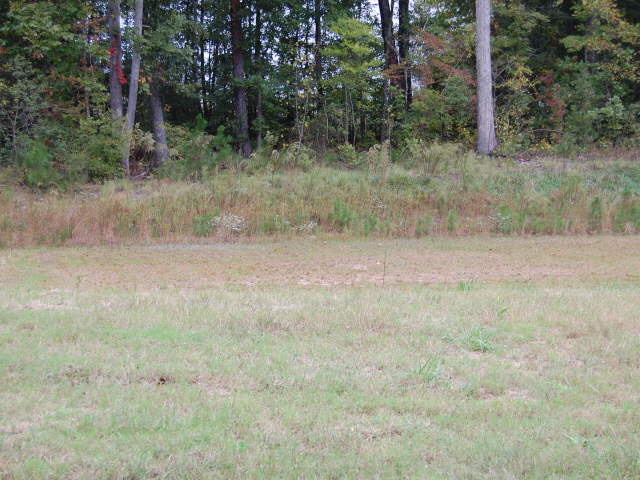 3010 Stonebrook Cv, Austell, GA 30106 photo 1