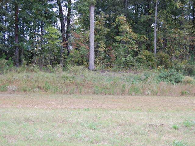 3010 Stonebrook Cv, Austell, GA 30106 photo 2