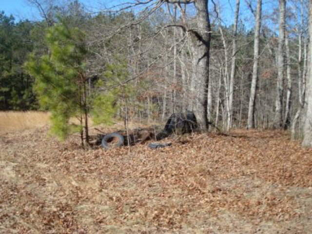 70 Hammock Rd, Waco, GA 30182 photo 7
