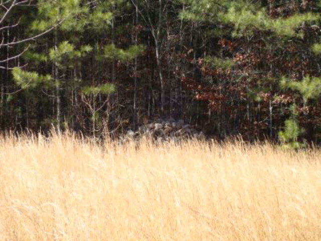 70 Hammock Rd, Waco, GA 30182 photo 2