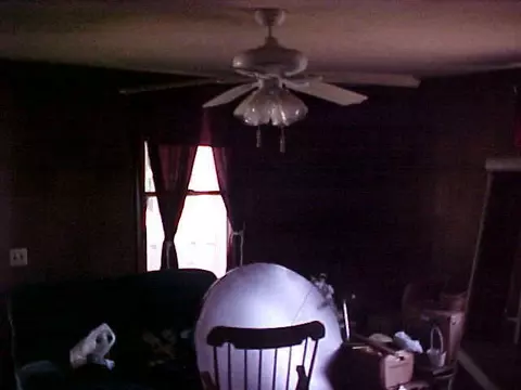809 S 6th Ave, Lanett, AL 36863 photo 13