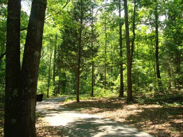 164 Earls Rd, Thomaston, GA 30286 photo 13