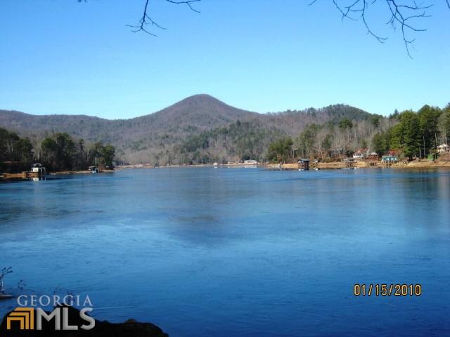 763 E Wildcat, Clarkesville, GA 30523 photo 8