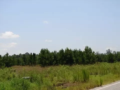 233 Zittrouer Rd, Guyton, GA 31312 photo 3