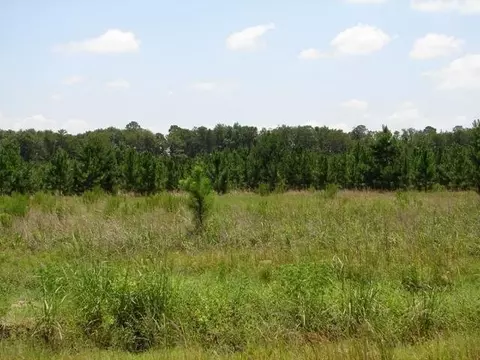 233 Zittrouer Rd, Guyton, GA 31312 photo 1