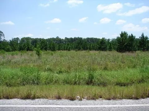 233 Zittrouer Rd, Guyton, GA 31312 photo 2