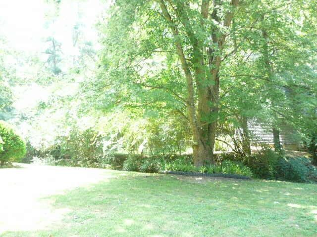 4368 Centennial Trl, Duluth, GA 30096 photo 2