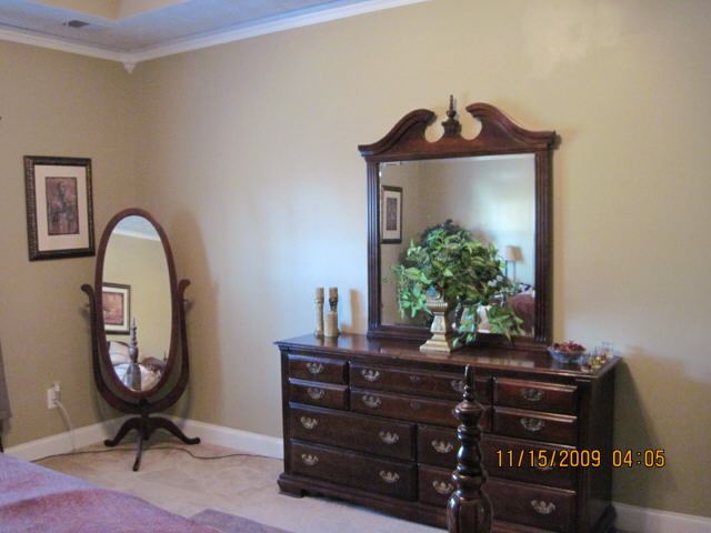 217 Hedgewood Dr, Hampton, GA 30228 photo 10