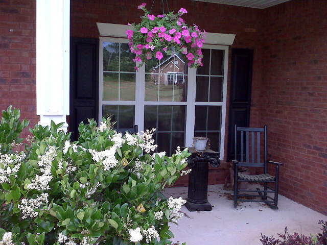 217 Hedgewood Dr, Hampton, GA 30228 photo 15