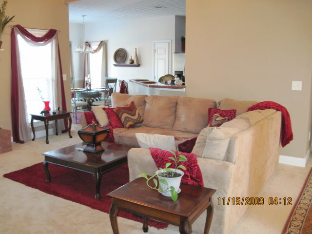 217 Hedgewood Dr, Hampton, GA 30228 photo 4