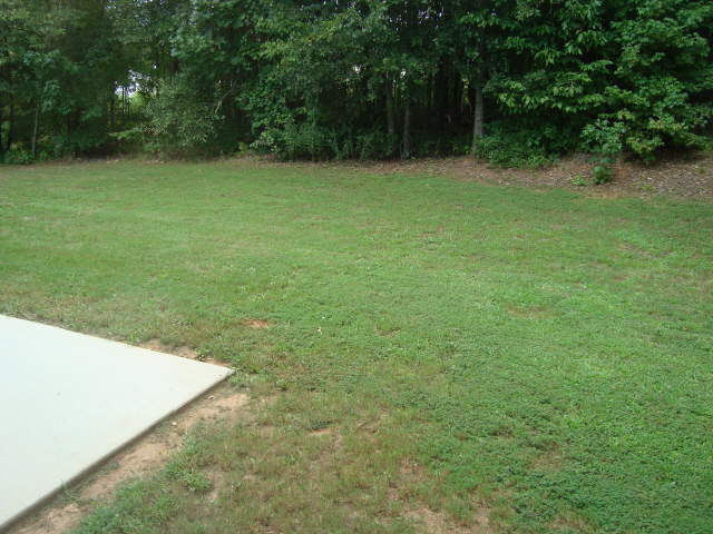 204 Revolutionary Dr, Hampton, GA 30228 photo 13