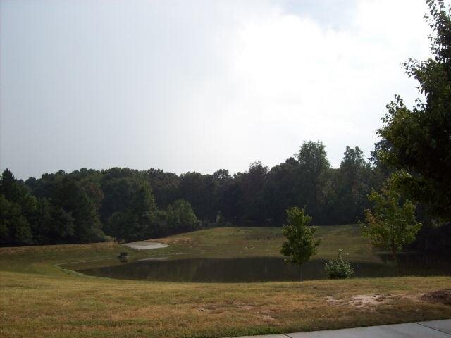 2224 Granite Path Ct, Bethlehem, GA 30620 photo 4