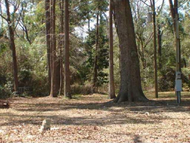 300 W First St, Midway, GA 31320 photo 1
