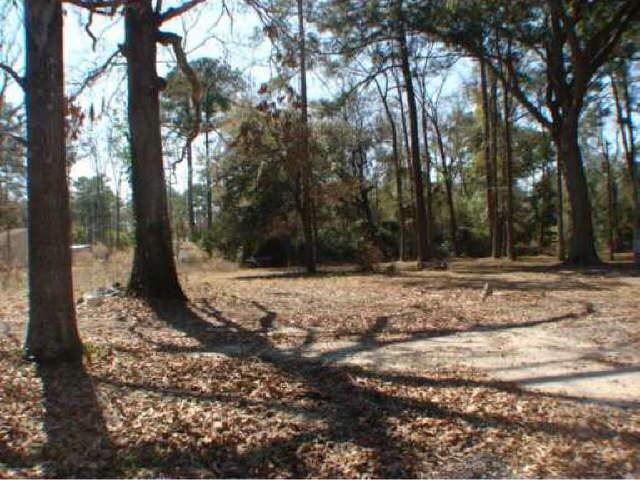 300 W First St, Midway, GA 31320 photo 3