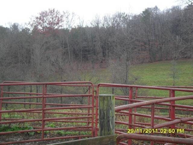 1003 Sutton Mill Rd, Clarkesville, GA 30523 photo 3
