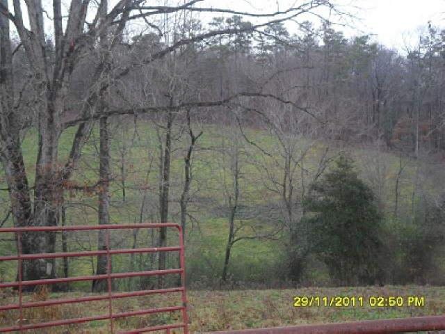 1003 Sutton Mill Rd, Clarkesville, GA 30523 photo 4