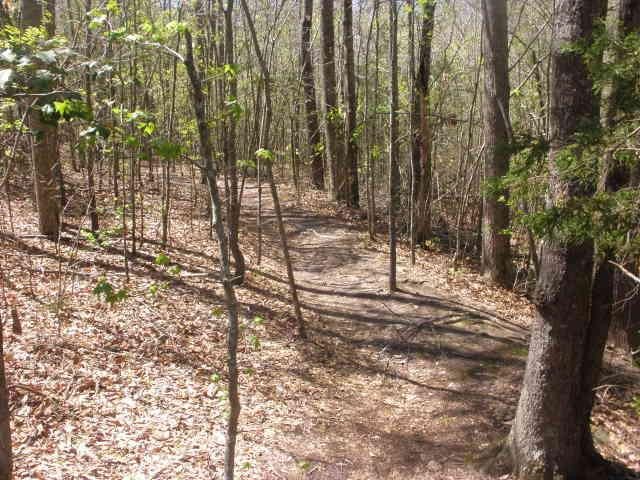 391 Strickland Cir, Colbert, GA 30628 photo 16