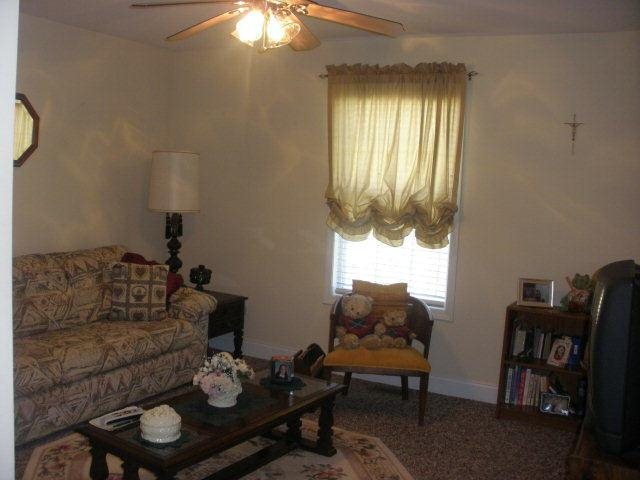 391 Strickland Cir, Colbert, GA 30628 photo 14