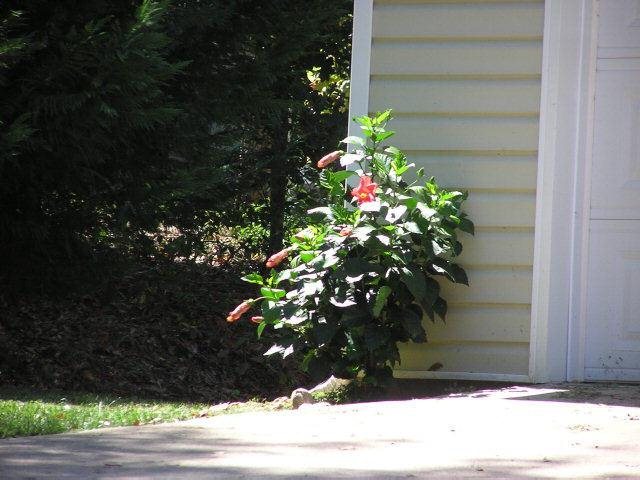391 Strickland Cir, Colbert, GA 30628 photo 15