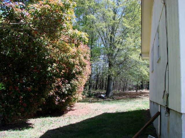 267 Jordan Rd, Toccoa, GA 30577 photo 4
