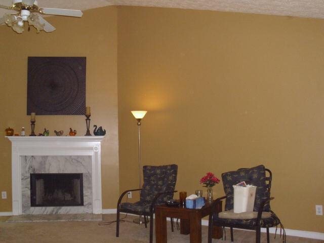 420 Corral Pass, Jackson, GA 30233 photo 2