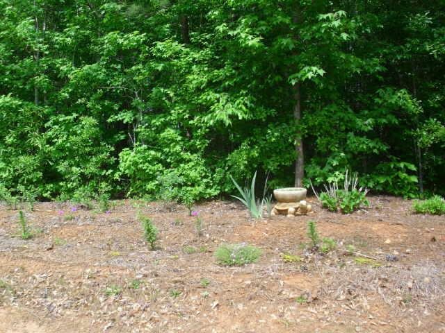 420 Corral Pass, Jackson, GA 30233 photo 7