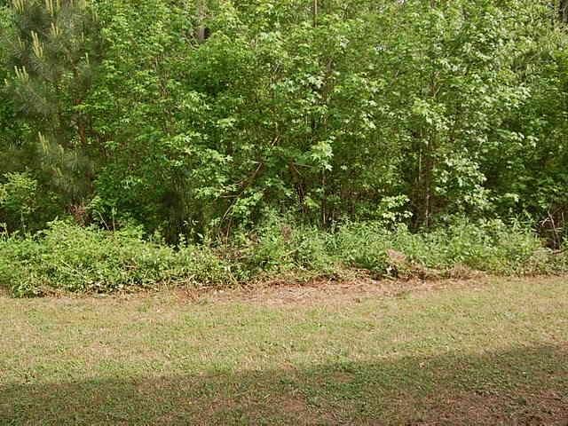 3027 Fields Dr, Lithonia, GA 30038 photo 3