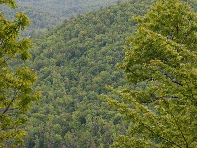 493 Split Rail Row, Highlands, NC 28741 photo 4