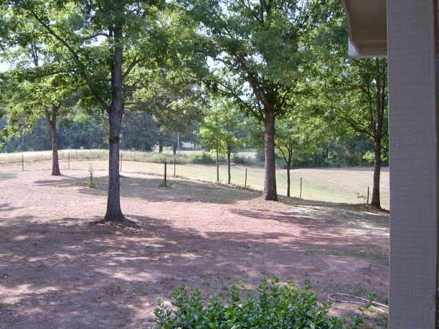 155 George Washington Ave, Colbert, GA 30628 photo 4