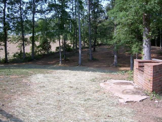 155 George Washington Ave, Colbert, GA 30628 photo 5