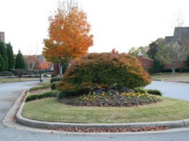 785 Vista Bluff Dr, Duluth, GA 30097 photo 10