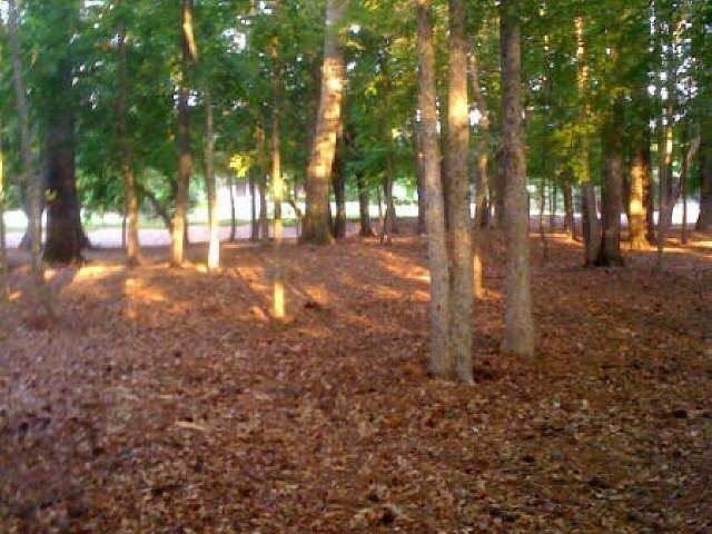 785 Vista Bluff Dr, Duluth, GA 30097 photo 9
