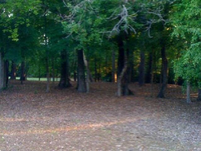 785 Vista Bluff Dr, Duluth, GA 30097 photo 2
