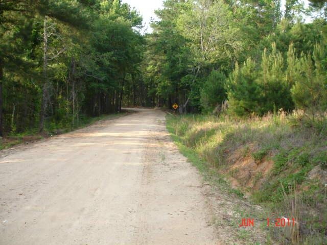 107 Bryan Ln, Davisboro, GA 31018 photo 3